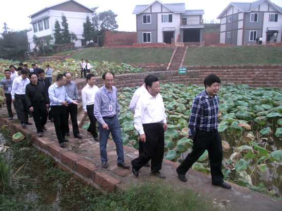 泸州市委市政府到天仙镇督查新农村建设(图1)