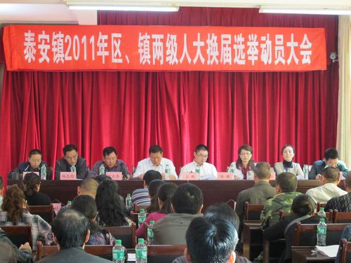 泰安镇：“三举措”确保人民代表换届工作风清气正