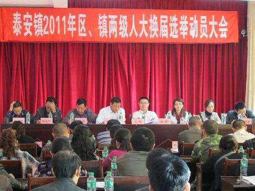 泰安镇:“三举措”确保人民代表换届工作风清气正(图1) 泰安镇:“三举措”确保人民代表换届工作风清气正(图1)