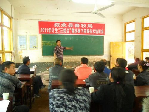 叙永县畜牧局赴水尾镇开展林下养鸡技能培训