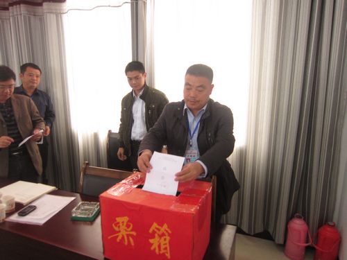 方洞镇：严格程序选举县党代表