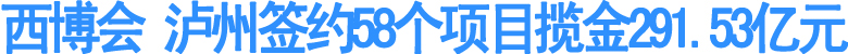西博会&nbsp;泸州签约58个项目揽金291.53亿元