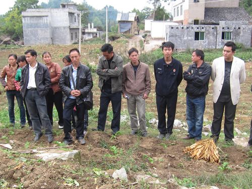 古蔺县护家乡全面启动烤坏烟叶处理救助工作