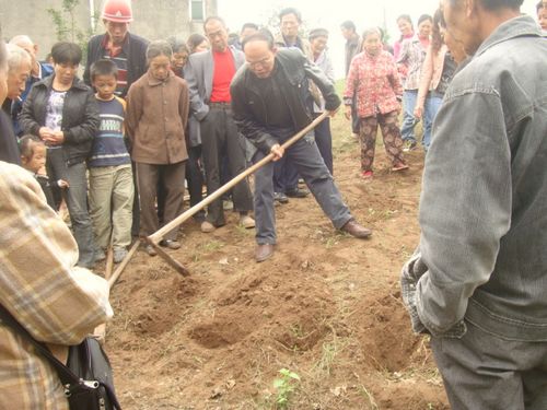 泸州胡市镇：培训农户土豆种植技术