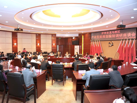 省工程咨询研究院为泸州龙马潭区作产业规划调研