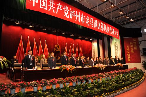 龙马潭区第四次党代会隆重开幕(图2)