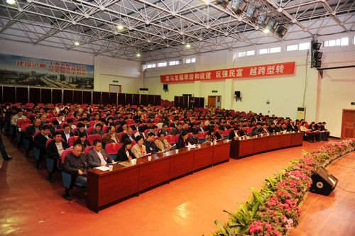 龙马潭区第四次党代会隆重开幕(图3)