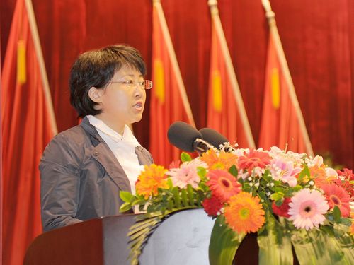 龙马潭区第四次党代会隆重开幕(图4)
