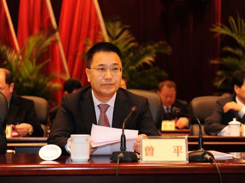 龙马潭区第四次党代会隆重开幕(图7)