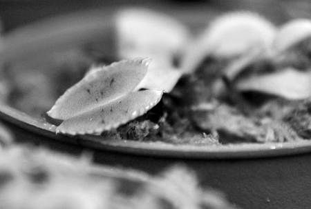 第九届中国国际农交会昨日亮相，特色农产品成主角(图3)