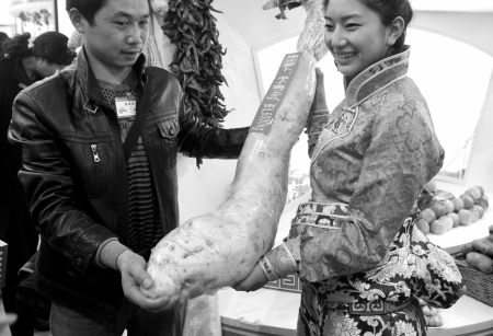 第九届中国国际农交会昨日亮相，特色农产品成主角(图1)