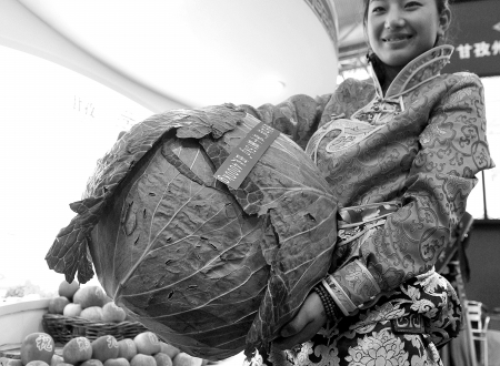 第九届中国国际农交会昨日亮相，特色农产品成主角(图2)