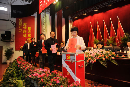 ***龙马潭区第四次代表大会胜利闭幕(图7)