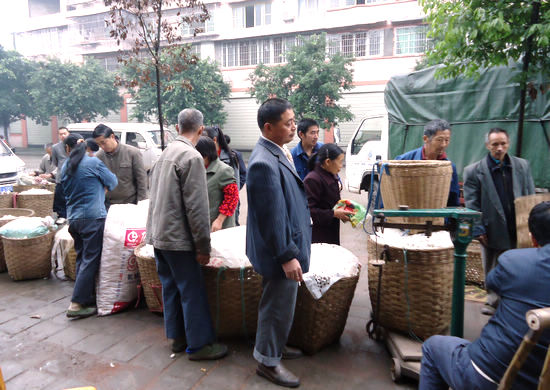 丰乐镇:秋蚕产量稳定收入增(图1) 丰乐镇:秋蚕产量稳定收入增(图1)