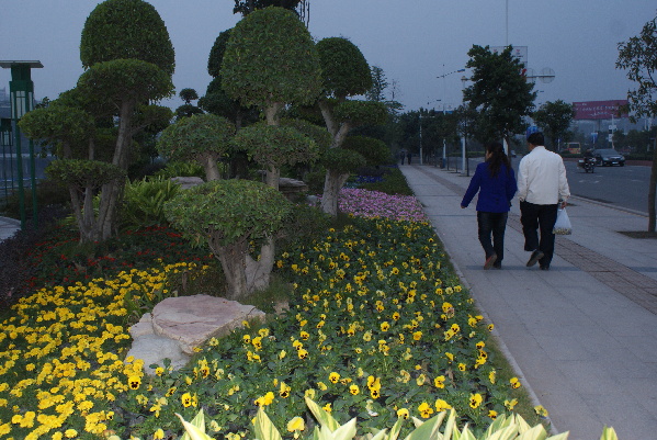 城市干道节点绿化：内江景观效果大提升
