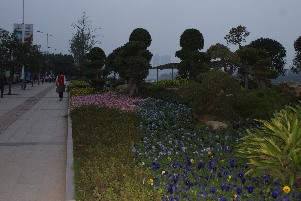 城市干道节点绿化：内江景观效果大提升(图3)