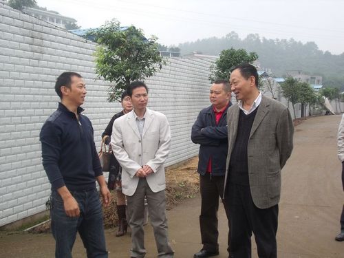 泸州市副市长陈万春到安宁镇调研