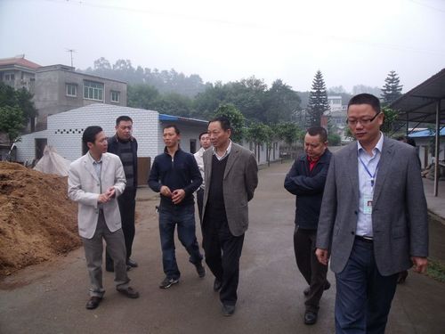 泸州市副市长陈万春到安宁镇调研(图1)