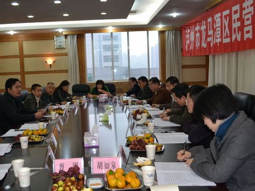 省督查组到龙马潭区督查调研民营经济工作(图2) 省督查组到龙马潭区督查调研民营经济工作(图2)