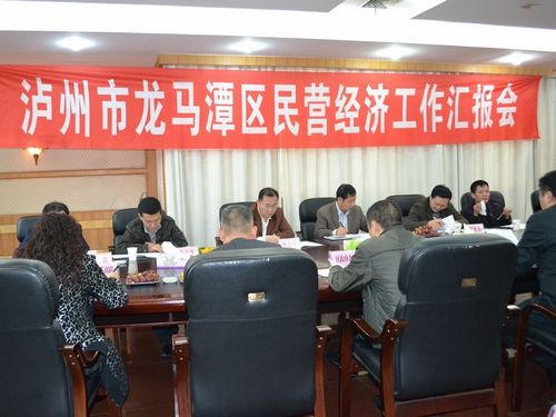 省督查组到龙马潭区督查调研民营经济工作(图1) 省督查组到龙马潭区督查调研民营经济工作(图1)