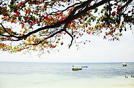 浪漫的千岛之国(图3) 浪漫的千岛之国(图3)
