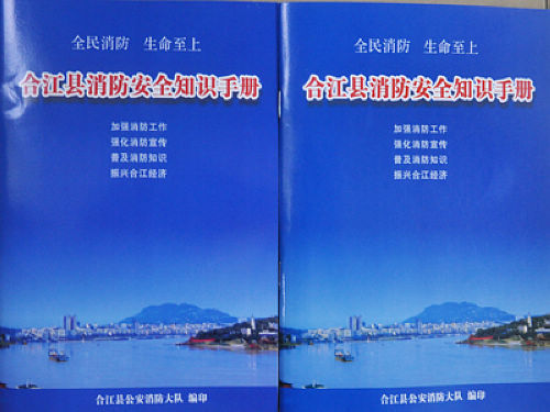 泸州合江"119消防日"集中宣传&nbsp;助推"火患清剿"行动(图1)