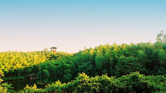 泸州市正式启动天然林资源保护二期工程(图1) 泸州市正式启动天然林资源保护二期工程(图1)