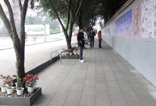 合江佛荫镇中学校园文化建设成效显著(图5)