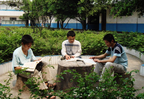 合江佛荫镇中学校园文化建设成效显著(图1)