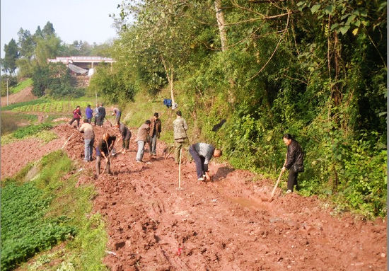 先市镇：党群联动共建“惠民路”(图1)