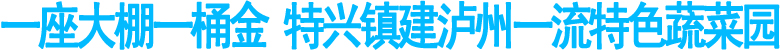 龙马潭区特兴镇建泸州一流特色蔬菜园(图1)