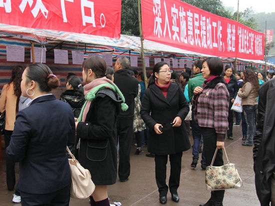 龙马潭区举办安置小区专场招聘会&nbsp;500余人现场求职(图2)