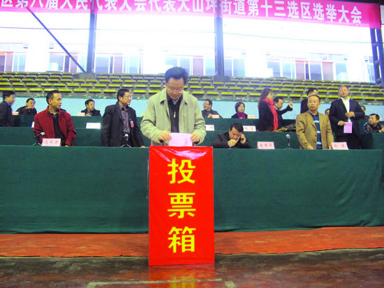 江阳区举行第八届人大代表换届选举(图3)