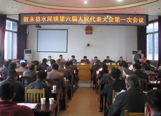 水尾镇第六届人民代表大会第一次会议胜利闭幕(图1)