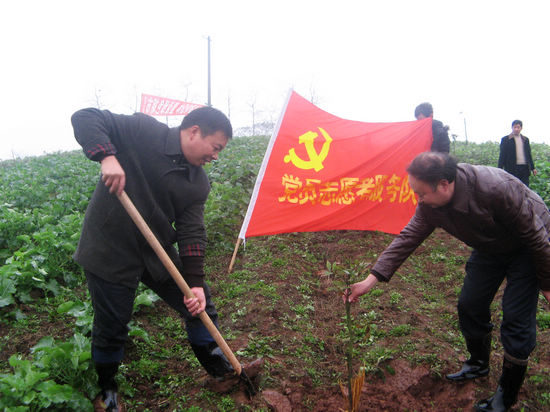 泸州胡市镇党员干部"创先争优"争当"五员"活动纪实(图1)