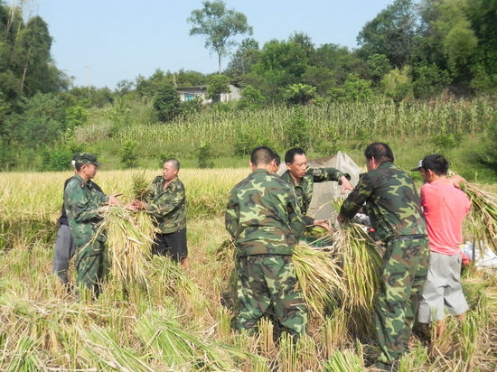 泸州胡市镇党员干部"创先争优"争当"五员"活动纪实(图3)