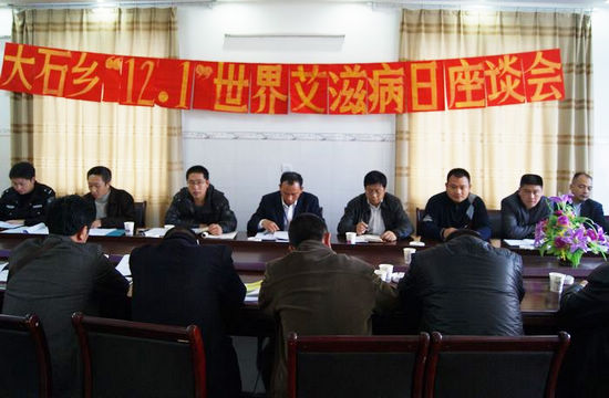 大石乡举行艾滋病世界宣传日座谈会(图1)