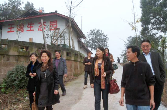 泸州市县国土局到太伏镇检查指导"计生三结合"工作(图1)