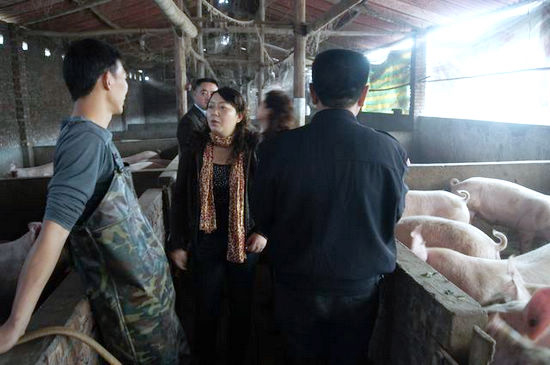 泸州市县国土局到太伏镇检查指导"计生三结合"工作(图2)