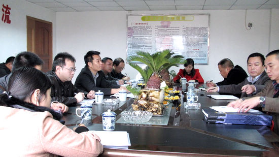 余纯炼率江阳区规委会调研通滩镇域发展规划(图1)