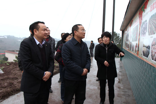 泸州市政府党组成员李晓宇调研合江新农村建设(图1) 泸州市政府党组成员李晓宇调研合江新农村建设(图1)