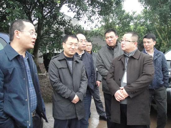 泸州市党组成员李晓宇到石洞镇调研新农村建设(图1)