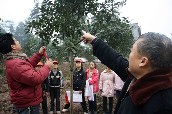龙车镇：为农村少年开启产业发展意识(图1)