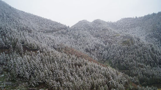 叙永摩尼镇：迎来今冬第一场雪(图2)