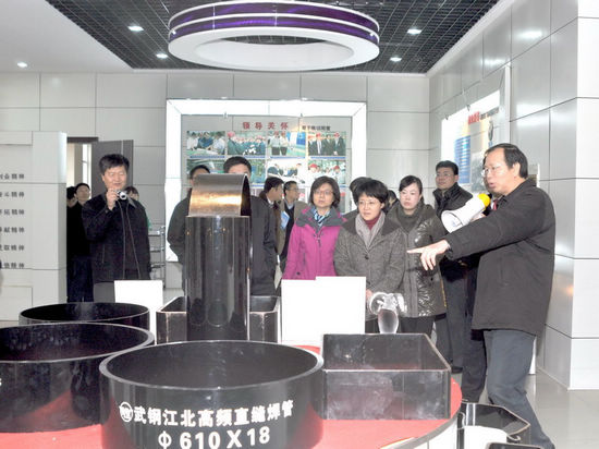 龙马潭区委书记郑蓉率团赴长江中下游港口城市考察(图6)