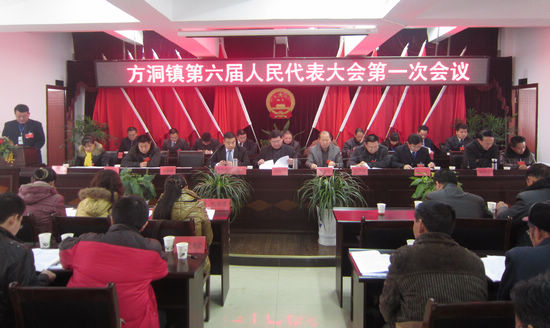 方洞镇第六届人民代表大会第一次会议胜利召开
