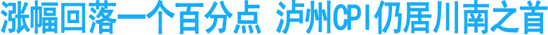 涨幅回落一个百分点&nbsp;泸州CPI仍居川南之首