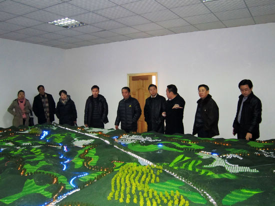 华阳街道石虎村：通过全市文明村检查验收(图2)