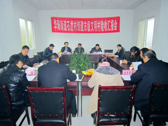 华阳街道石虎村：通过全市文明村检查验收