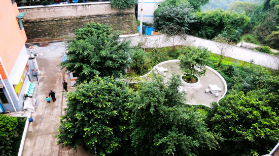 华阳街道：新风小区蝶变之路(图4)